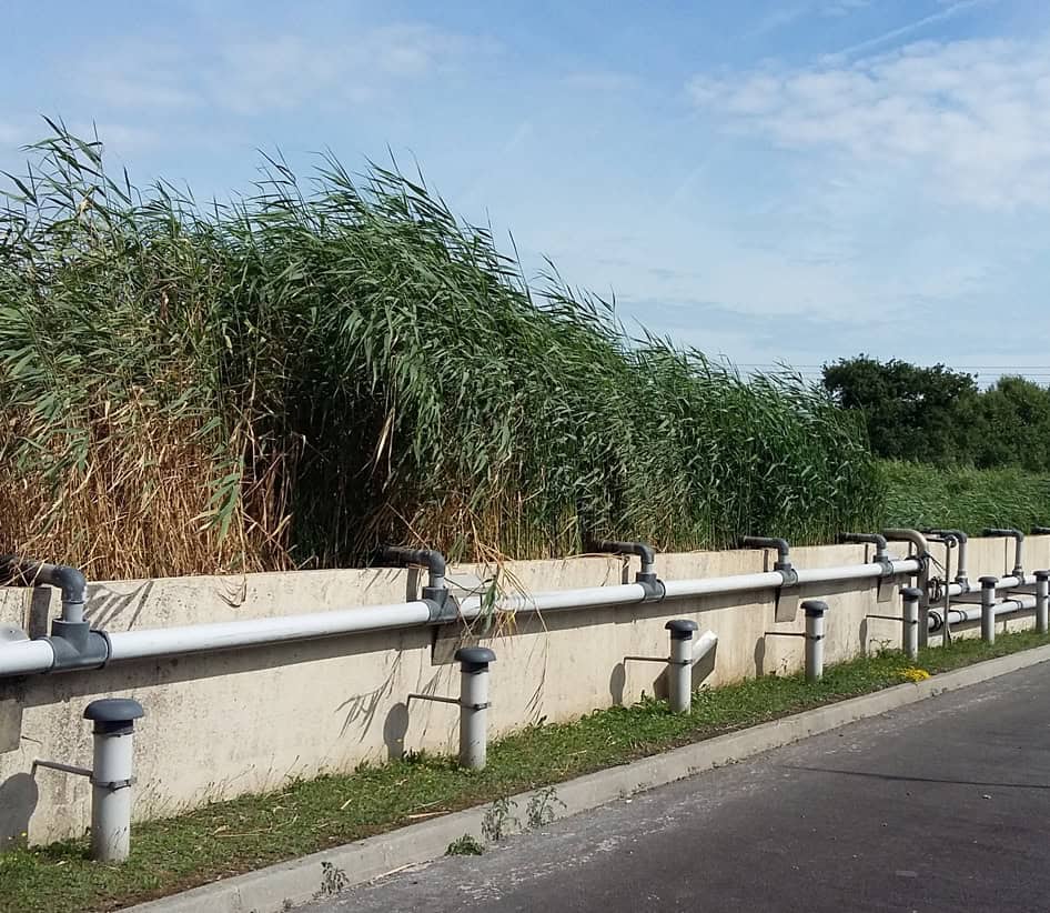Natural wastewater treatment by lagooning